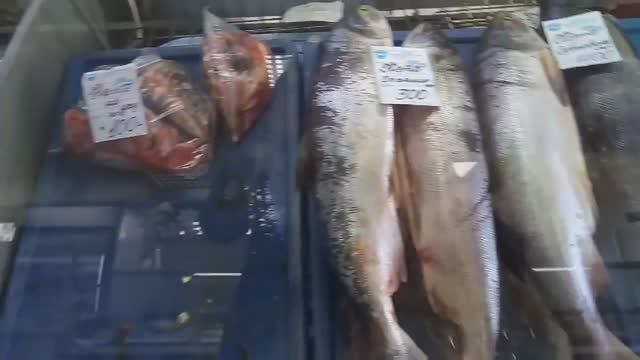 Сколько стоит икра и красная рыба на Дальнем Востоке. Новый рынок в г. Хабаровске