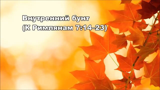 Тихое время с Живой Жизнью: К Римлянам 7:14–25 (20092016) смотреть онлайн