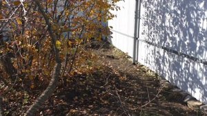 ОНЛАЙН ТРЕЙД.РУ — Рубанок электрический ИНТЕРСКОЛ Р-110/1100М