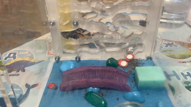 Муровъи смотреть онлайн