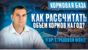 Как рассчитать объем грубых кормов для молочного стада на год? Угар. Страховой фонд.