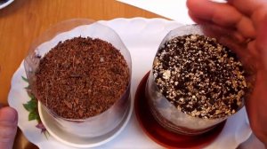 Dionaea Китайские семена. Садим венерину мухоловку или чтото другое