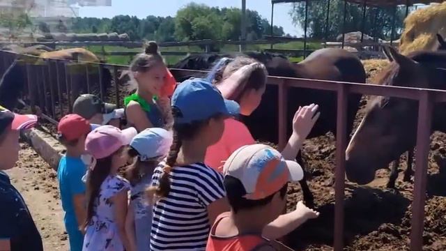 Добро пожаловать в ЛДП Здравушка Щетковская школа Ярковский района 2 смена смотреть онлайн