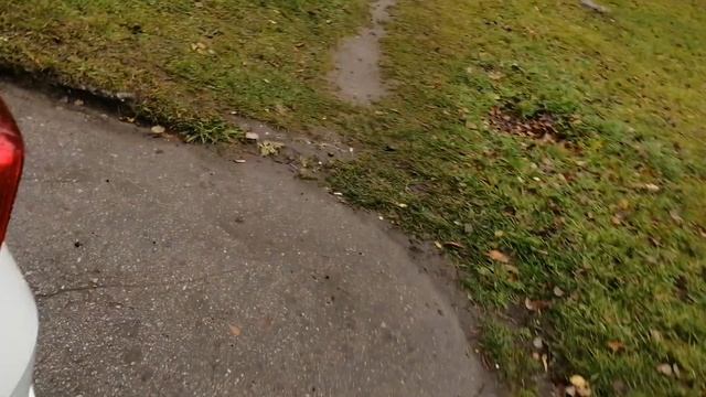 Шкода Рапид 113 смотреть онлайн