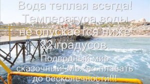 Отзыв от Serenity  Makadi Heights 5* (Makadi Bay, Egypt)