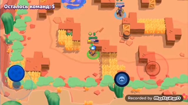 СЛУШАЙ ДА ЭТОТ КАКТУС У МЕНЯ НА ДАЧЕ РАСТЕТ ОСТАНОВИСЬ смотреть онлайн