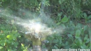 як зробити полив газону бюджетно?