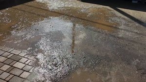 Очистка плитки от мха и грязи Минск