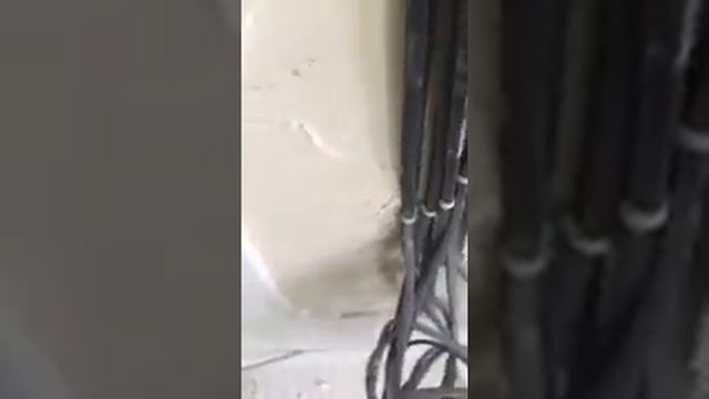 Почему бухтит и отслаивается гипсовая штукатурка смотреть онлайн