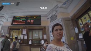 Понимают ли красноярцы английский язык? (Эксперимент)