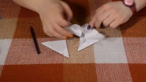 Мастер-класс по аппликации "Гуси-лебеди"