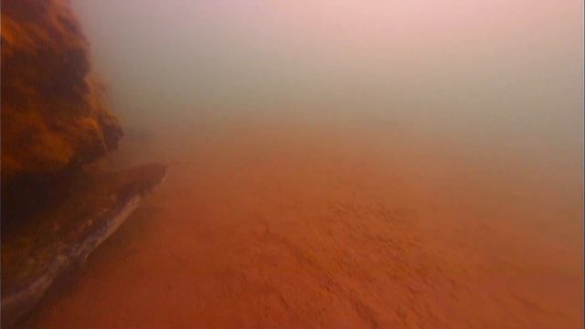 КОРЯГИ ПОД ВОДОЙ ВДРУГ ОЖИЛИ! Рыбалка на реке и на канале.
