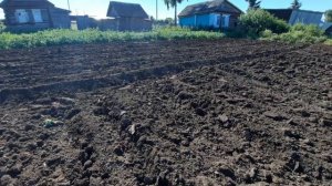 Готовим почву под посадку чеснока