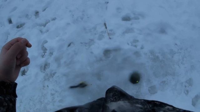 РЫБАЛКА НА НОВОМ ПРУДУ ,, РАСКАТЫ’’ В ТУЧКОВО|ЛОВЛЯ ФОРЕЛИ НА ПАСТУ смотреть онлайн