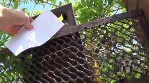 Сколько Можно Заработать На ПОКРАСКЕ ЗАБОРА???  #1