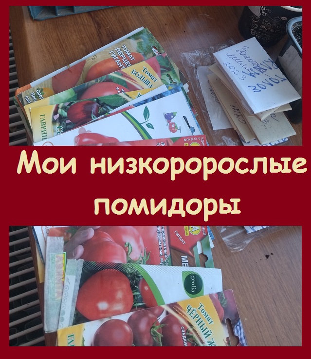 Низкорослые сорта томатов, которые не нужно пасынковать! Показываю, какие я выращиваю