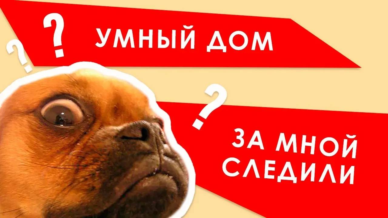 Дистанционный контроль за домом. Видеонаблюдение и gsm управление. EctoControl смотреть онлайн