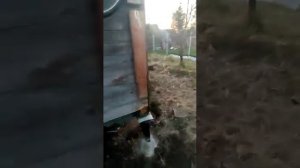 Укрепление фундамента винтовыми сваями | Подъем дома на домкратах