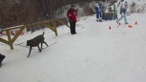 Новогодний праздник  в ЦСДС (24.12.2023)