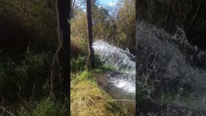 скважина без насоса