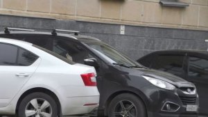 Подставное свидание / Дал потрогать свой огурец в штанах / Пранк