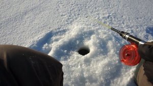 Зимние блесна на судака. Рыбалка на новые блесны из Китая.
