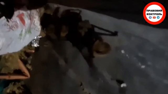 В Запорожье спасли летучих мышей.