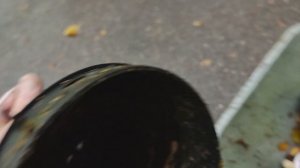 Садовый пылесос Ryobi RBV3000CESV , мощная воздуходувка с сюрпризом