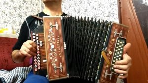 Игра на гармони "Плясовая"