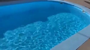 Пластиковый бассейн 8х4х1,5