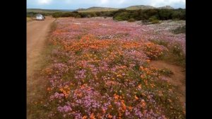 West Coast National park