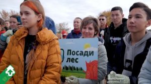 Посадка леса в Саратовской области (Александров Гай) 16 октября 2021 года