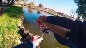 Ловля форели ПО с Денисом Вихровым - Fishing Today