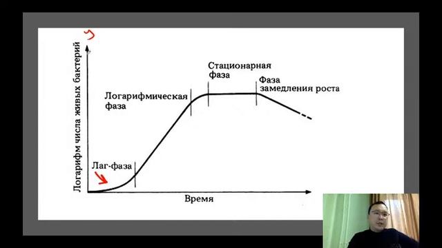 Прокариоты смотреть онлайн