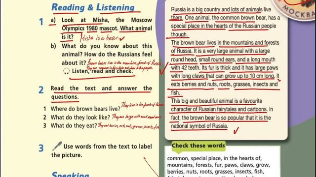 STARLIGHT 5/СТР.60 /ЗВЕЗДНЫЙ АНГЛИЙСКИЙ 5 КЛАСС/ ВИДЕО РАЗБОР/ ВИДЕО ГДЗ/НОВОЕ ИЗДАНИЕ / 20 смотреть онлайн