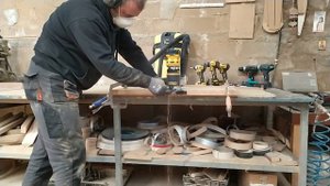 dewalt dcw600n