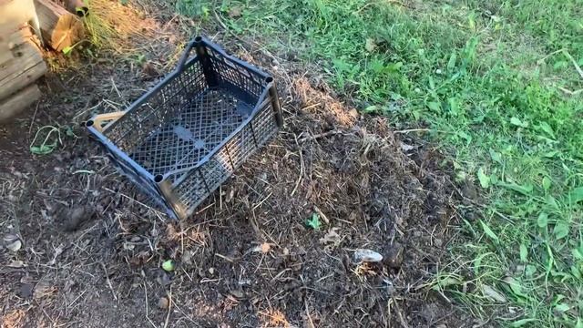 Закупка/обустройство и наведение порядка на даче смотреть онлайн