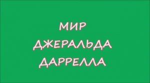 МИР ДЖЕРАЛЬДА ДАРРЕЛЛА