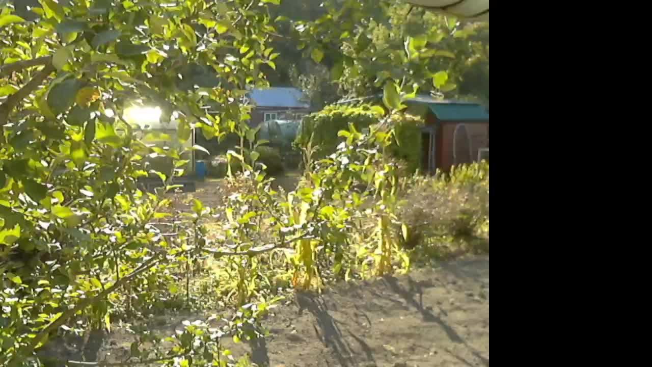 Дача