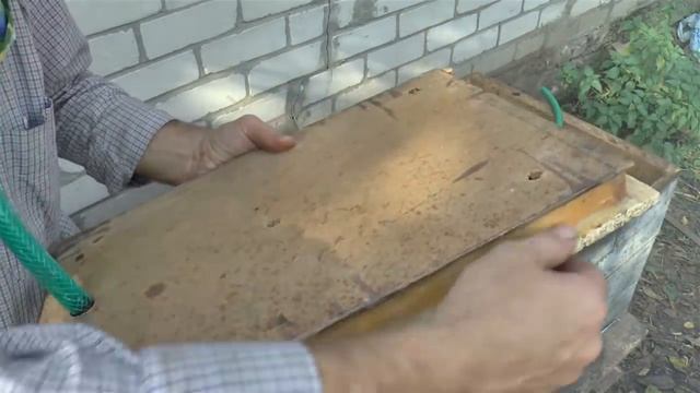 ГНЕЗДО ПЧЕЛ в ЗИМУ ВЕНТИЛЯЦИЯ УТЕПЛЕНИЕ ПЧЕЛИНОЙ СЕМЬИ ЛЕТКИ В УЛЬЯХ ОБРАБОТКА ПЧЕЛ КЛЕЩ ВАРРОА смотреть онлайн