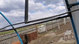 Меняю поликарбонат теплицы и обновляю теплицу.