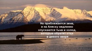 Кристин Ханна "С жизнью наедине"