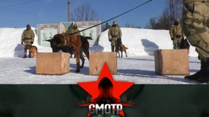 Кинологический центр дивизии Дзержинского: секреты подготовки и дрессировки | «Смотр»