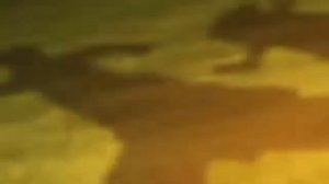Fullmetal alchemist (2003) all openings