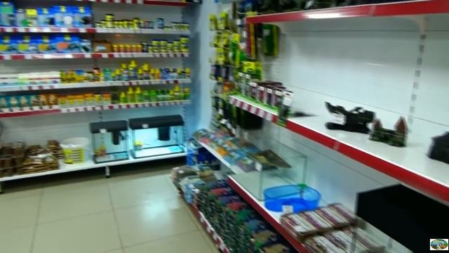 Зоомагазин "Какаду". Новосибирск смотреть онлайн