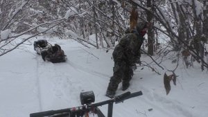 МОТОСОБАКА ПО ГЛУБОКОМУ СНЕГУ толкач ТОФАЛАР , МУЖИК ,СЕВЕР СТЕМ, ТЕСТ , ЛЕСНАЯ ИЗБА ,РЫБАЛКА ХАРИУ