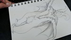 Quick sketch video of a bat costume