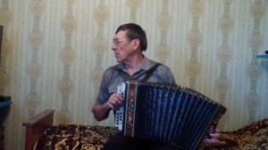 Малиновка #малиновка#гармонь