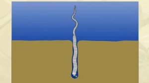 Размножение палоло. Биология для школьников