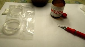 Делаю споровый отпечаток Шиитаке.